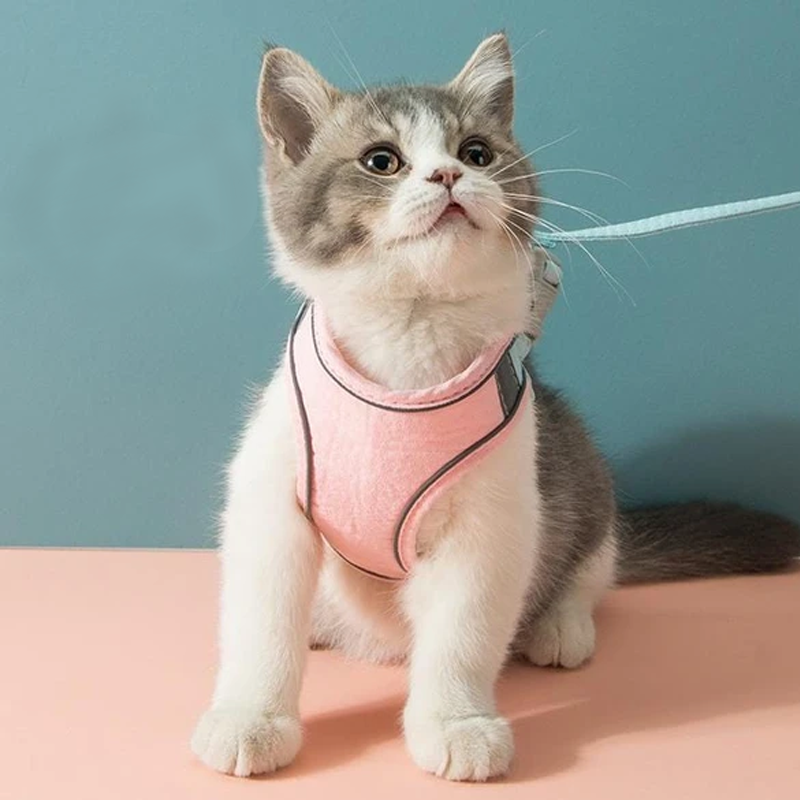 Cat Vest Harness and Leash Set（1.5m）