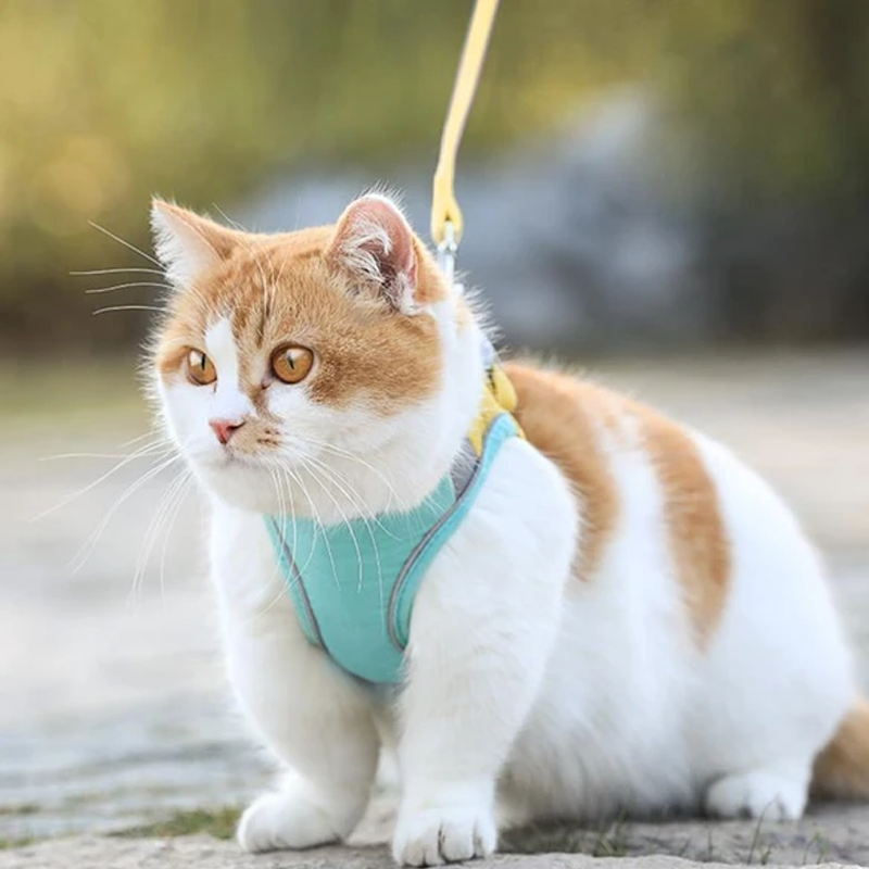 Cat Vest Harness and Leash Set（1.5m）