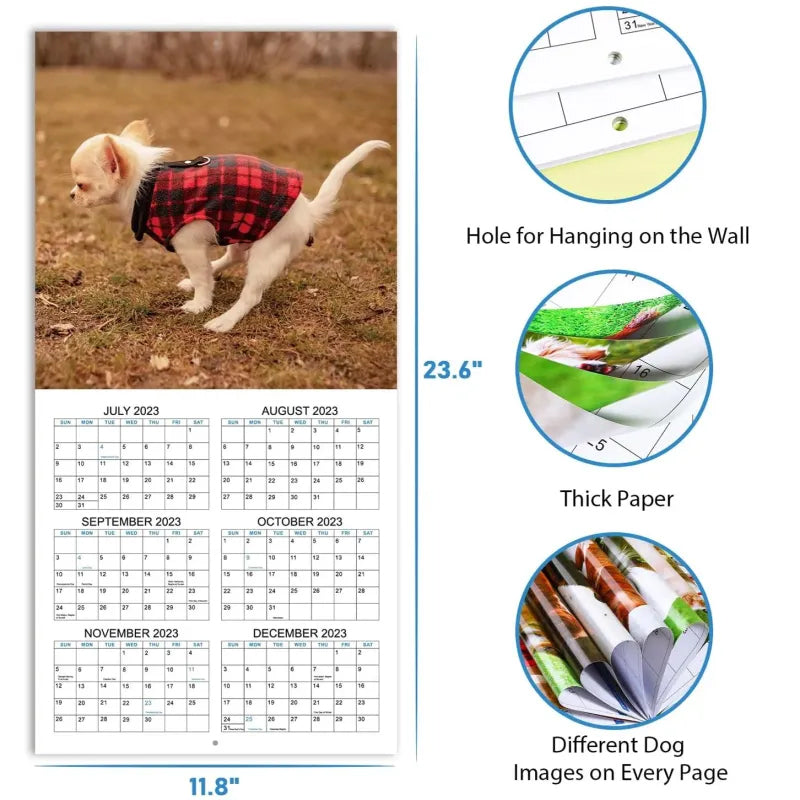 The funniest calendar of this century | The "artistic expression" of furry friends