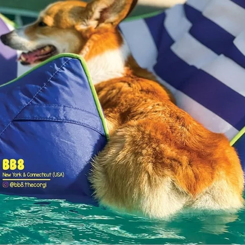 Corgi Butts 2024 Funny Dog Calendar