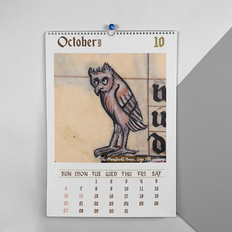 🦉Weird Medieval Owl Calendar 2024📅